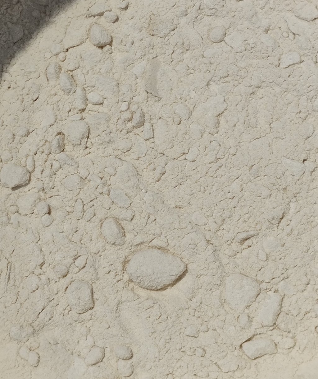CEBOLA EM PÓ