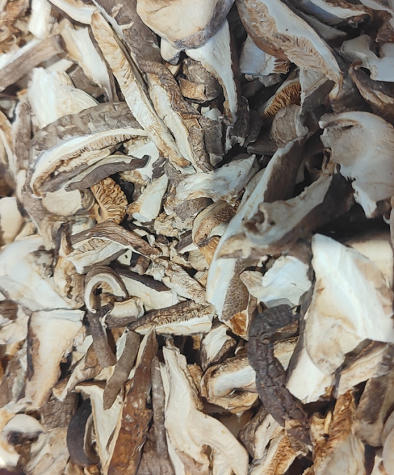 SHITAKE LAMINADO