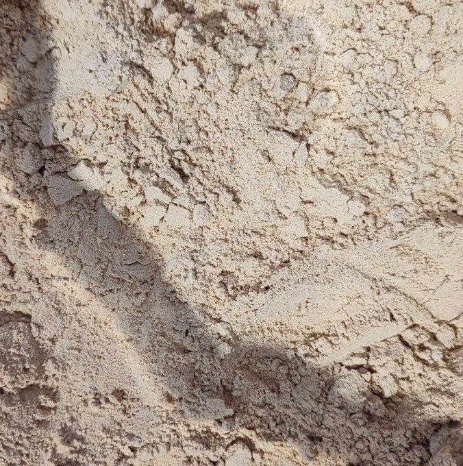 MACA PERUANA