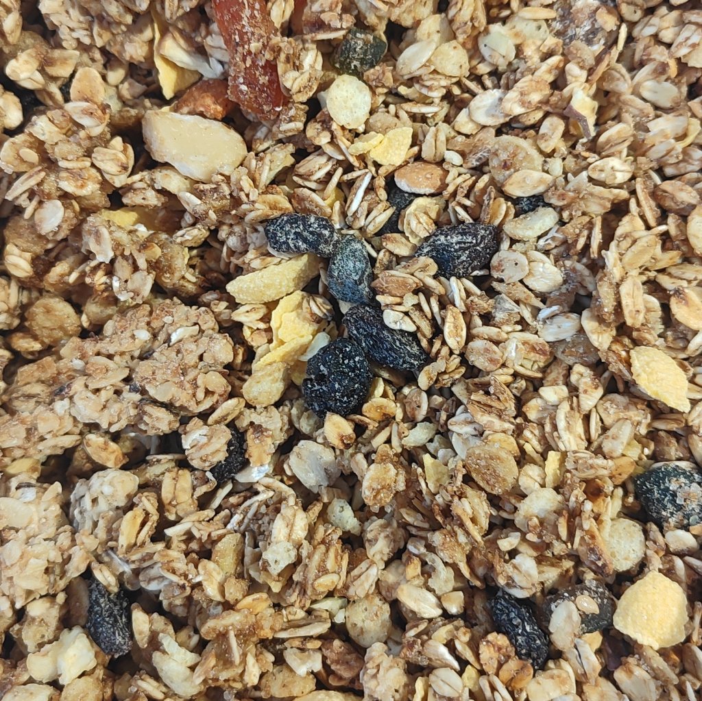 GRANOLA COMPLETA