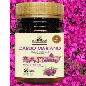 CARDO MARIANO 60CAPS - FOLHAS E RAIZES