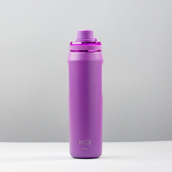 GARRAFA TÉRMICA VYTA 650ML - UVA - PACCO