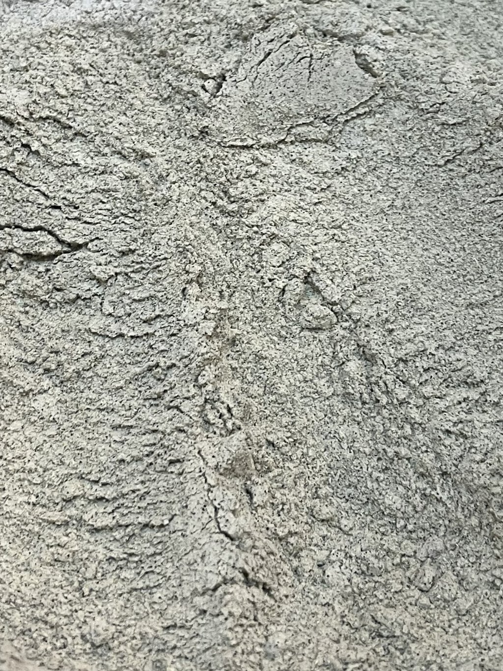 SEMENTE DE ABÓBORA EM PÓ 