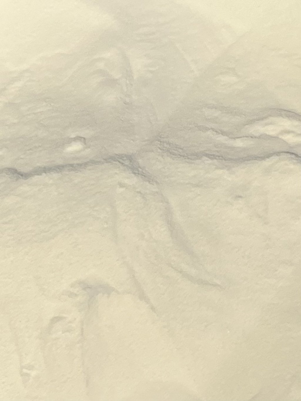 VINAGRE DE MAÇÃ EM PÓ 