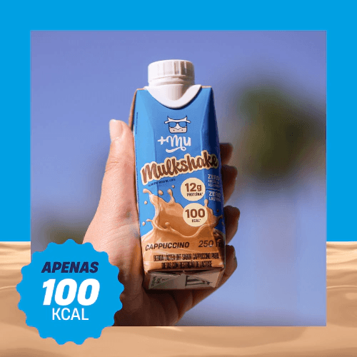 MULKSHAKE CHOCOLATE 250ML - MAIS MU