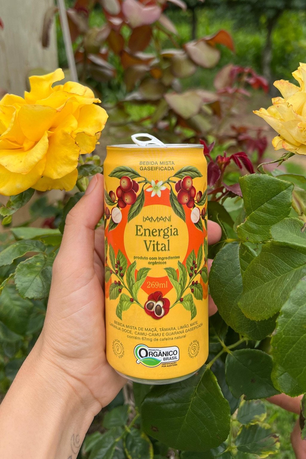 ENERGIA VITAL 269ML - IAMANI