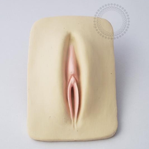 EP20 Expositor Genital	