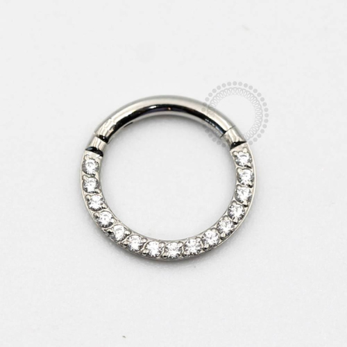 PB87 Segmento Aço 316L - Zircônia Cristal
