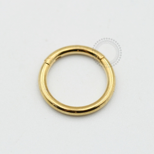 PVD20 Segmento Aço PVD Gold 