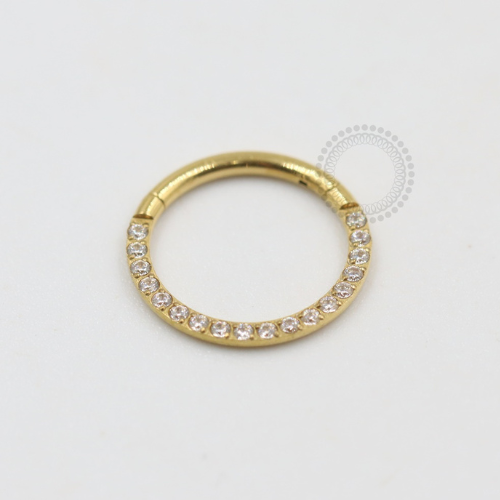 PVD51 Segmento Aço PVD Gold - Zircônia Cristal