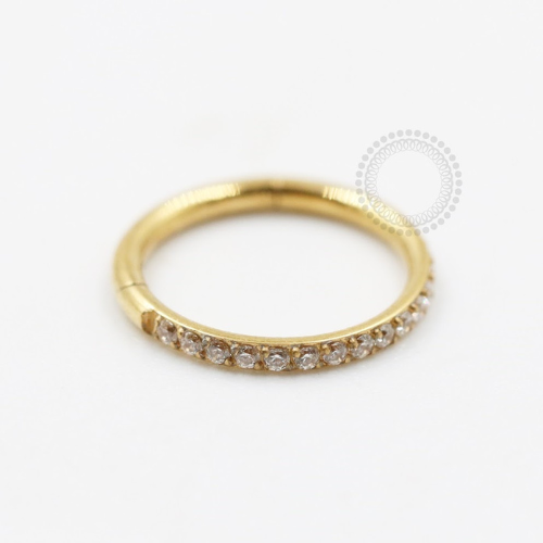 PVD90 Segmento Aço PVD Gold - Zircônia Cristal