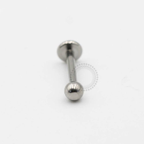 TN238 Labret Titânio F-136