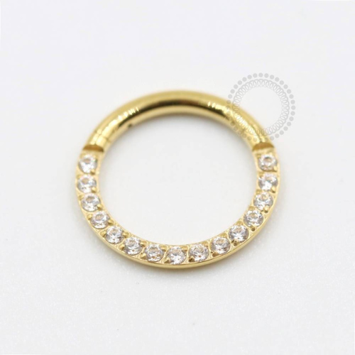 TN301 Segmento Titânio PVD Gold - Zircônia Cristal