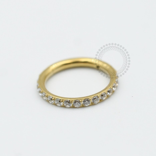 TN336 Segmento Titânio PVD Gold - Zircônia Cristal