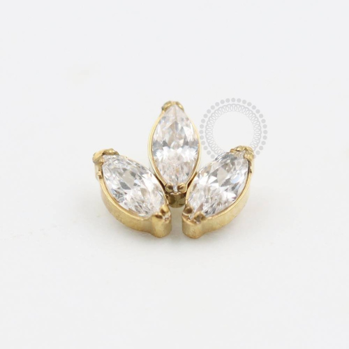 TN476 Topo Titânio PVD Gold - Zircônia Cristal