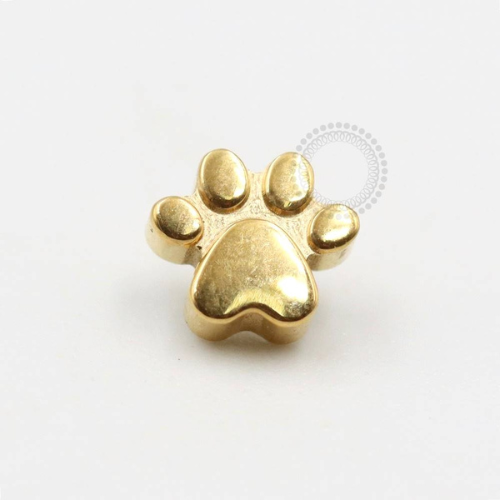 TN517 Topo Titânio PVD Gold