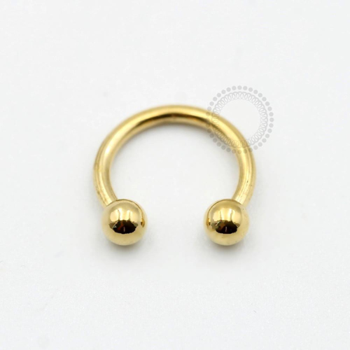 TN561 Ferradura Titânio PVD Gold