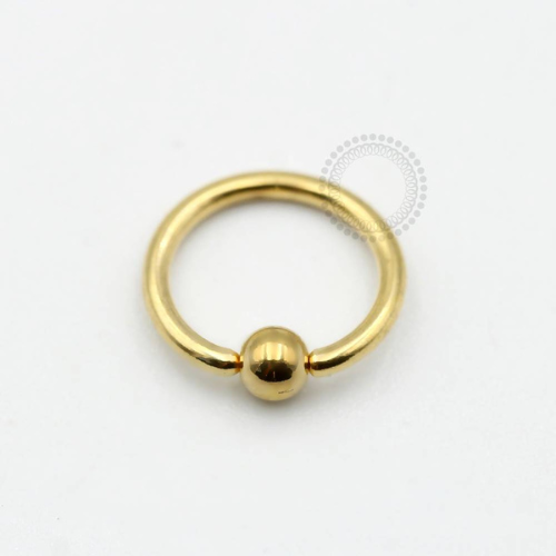 TN562 Captive Titânio PVD Gold - Zircônia Cristal