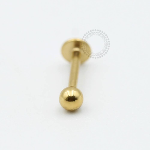 TN563 Labret Titânio PVD Gold
