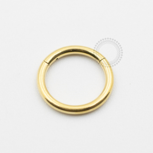 TN623 Segmento Titânio PVD Gold 