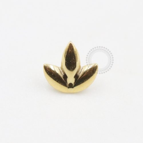 TN652 Topo Titânio PVD Gold