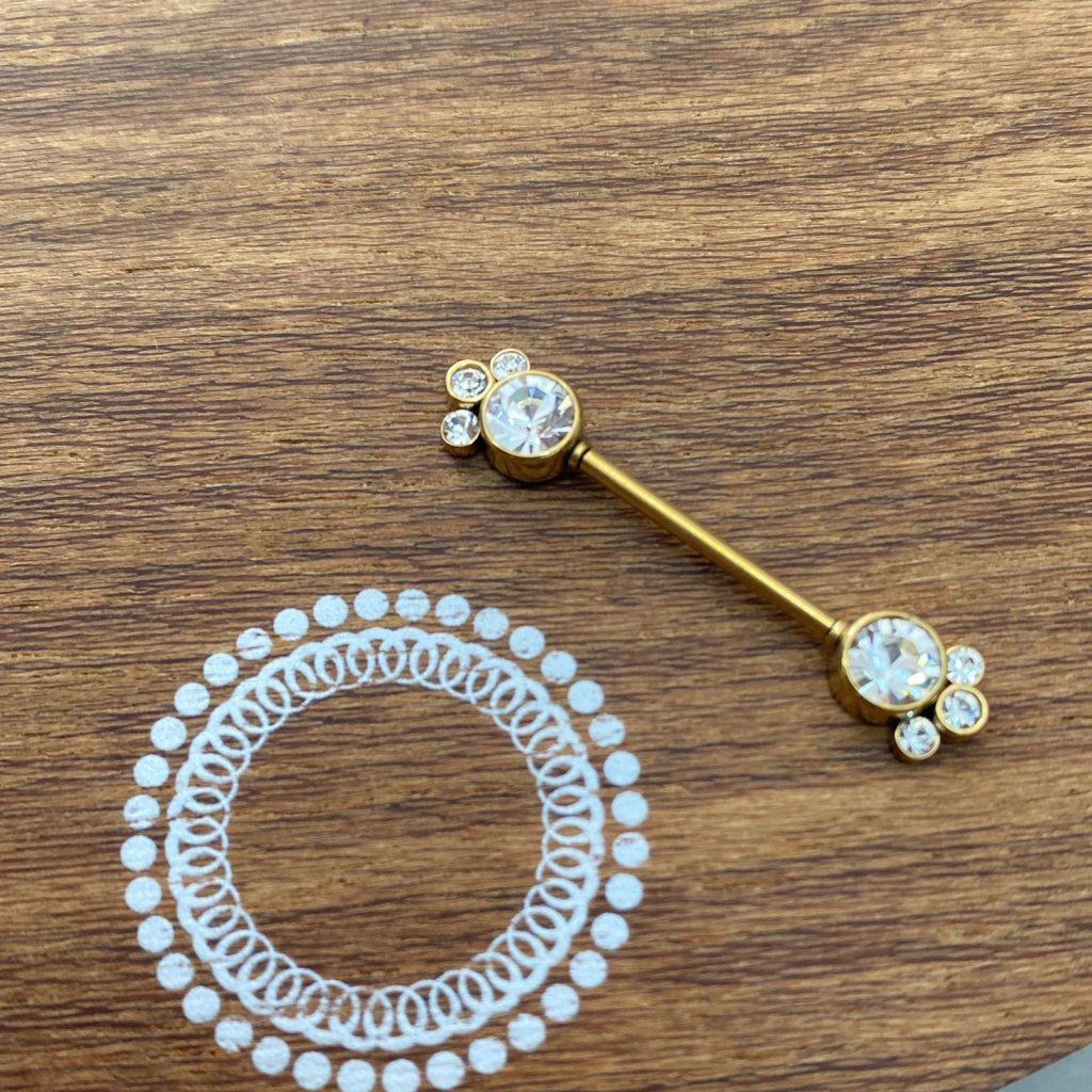 PD0014GO Nipple Aço PVD Gold - Zircônia Cristal