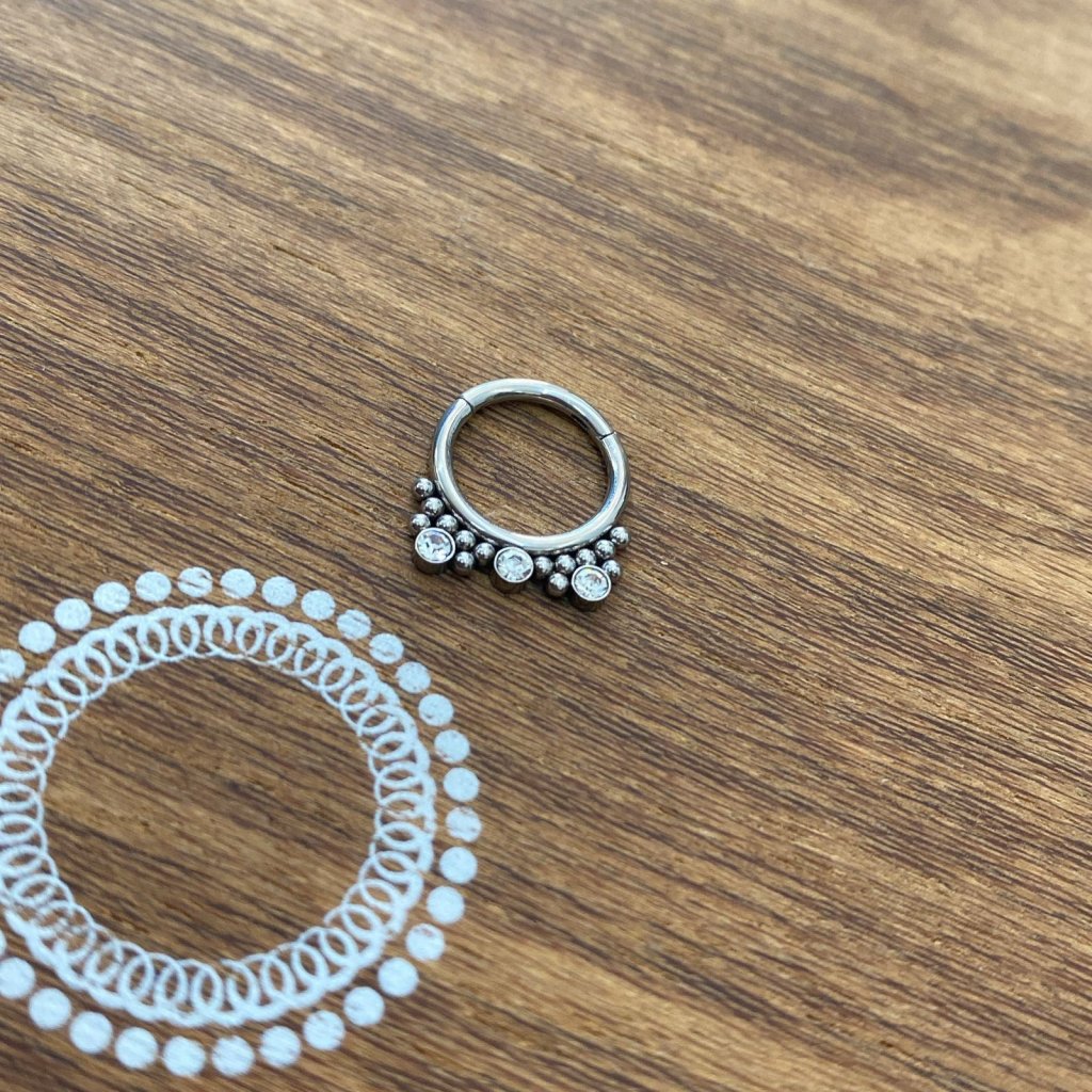 PJ0023PO Segmento Aço 316L - Zircônia Cristal