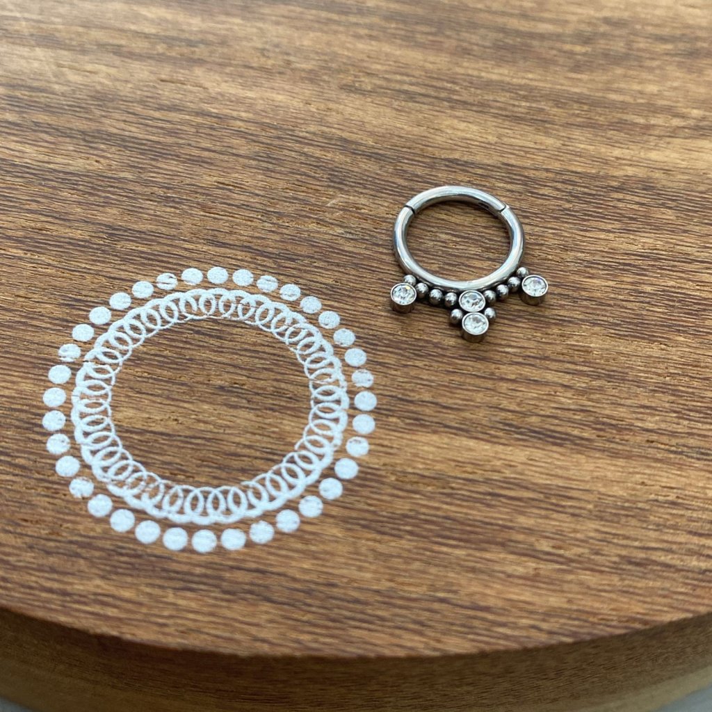 PJ0025PO Segmento Aço 316L - Zircônia Cristal