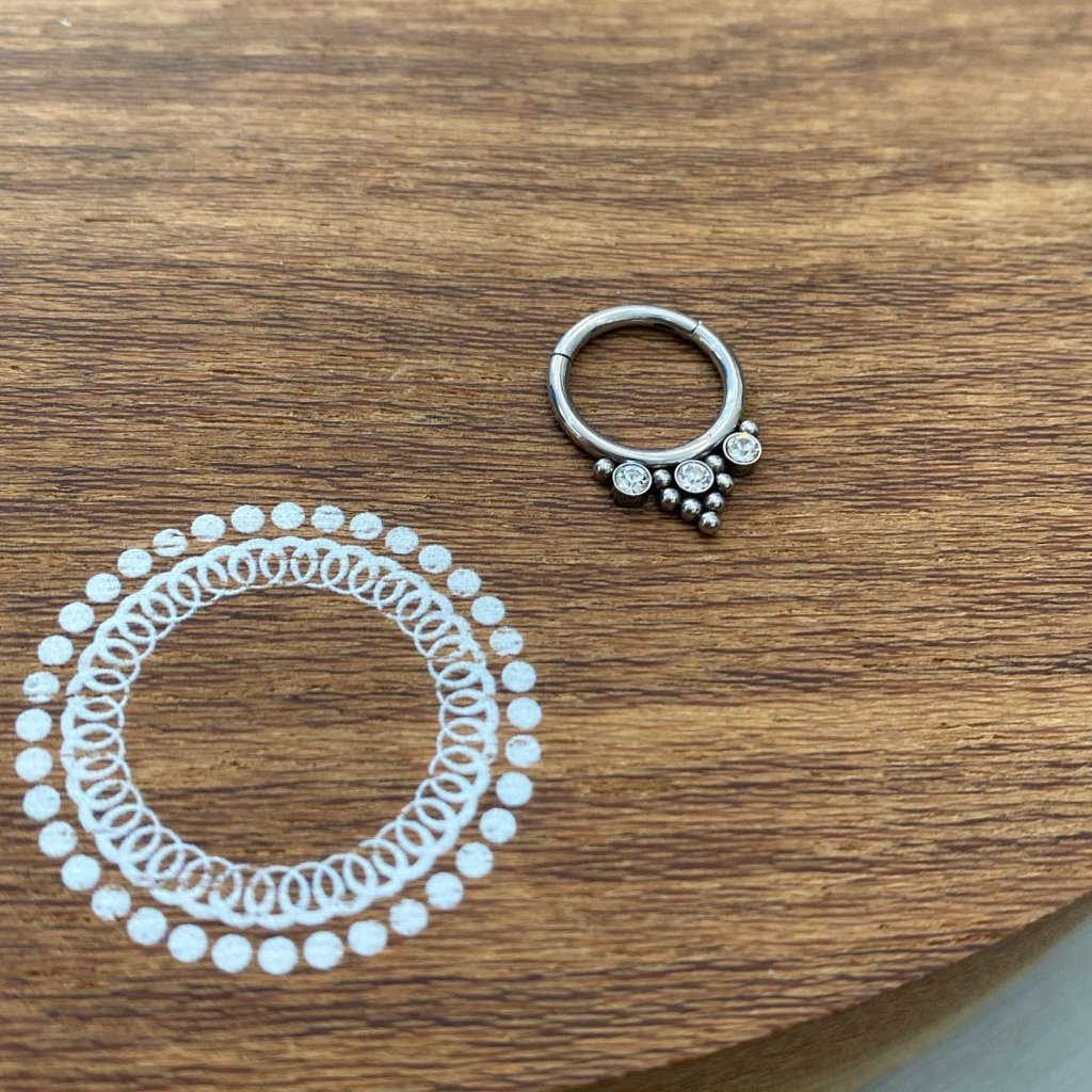 PJ0047PO Segmento Aço 316L - Zircônia Cristal