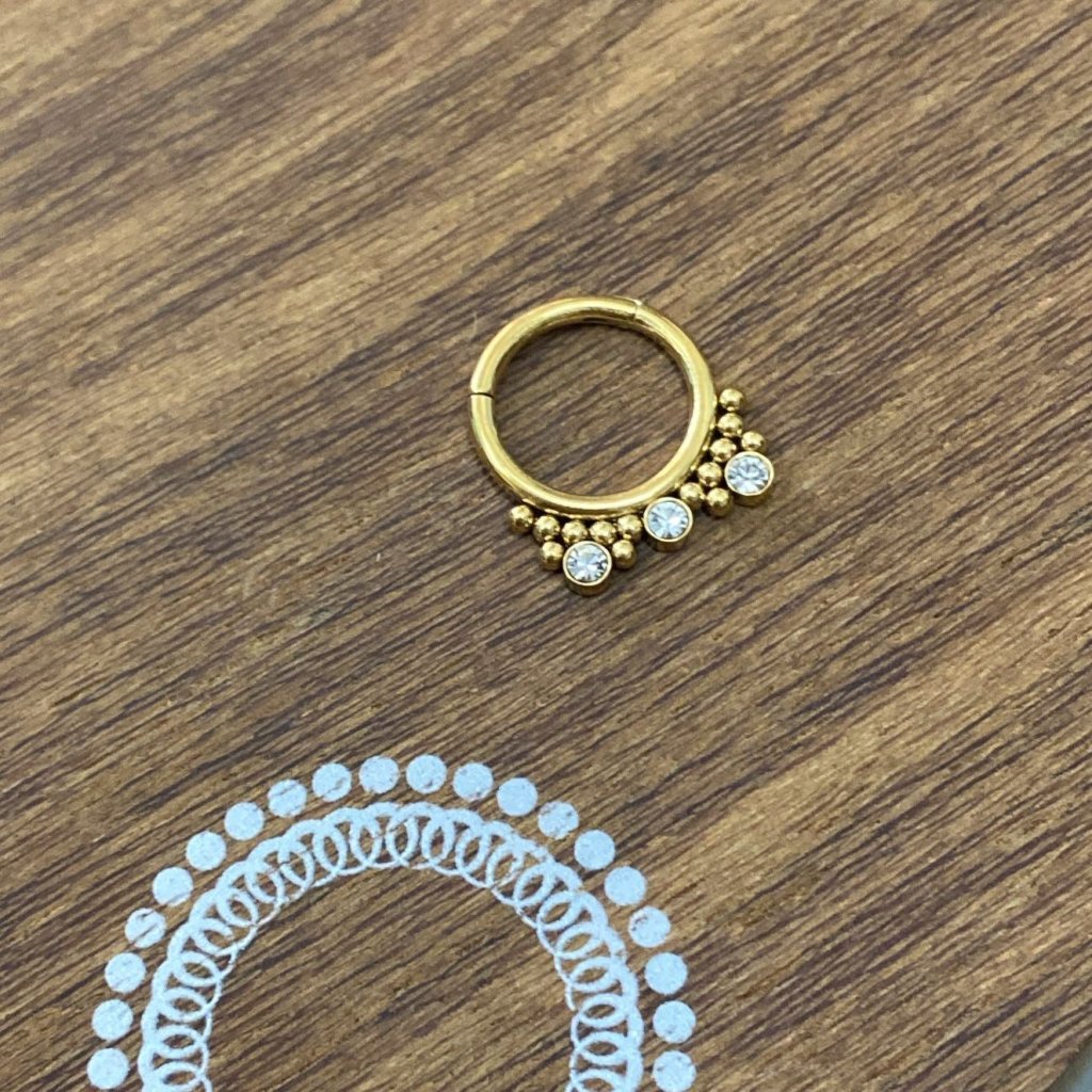 PM0021GO Segmento Aço PVD Gold - Zircônia Cristal