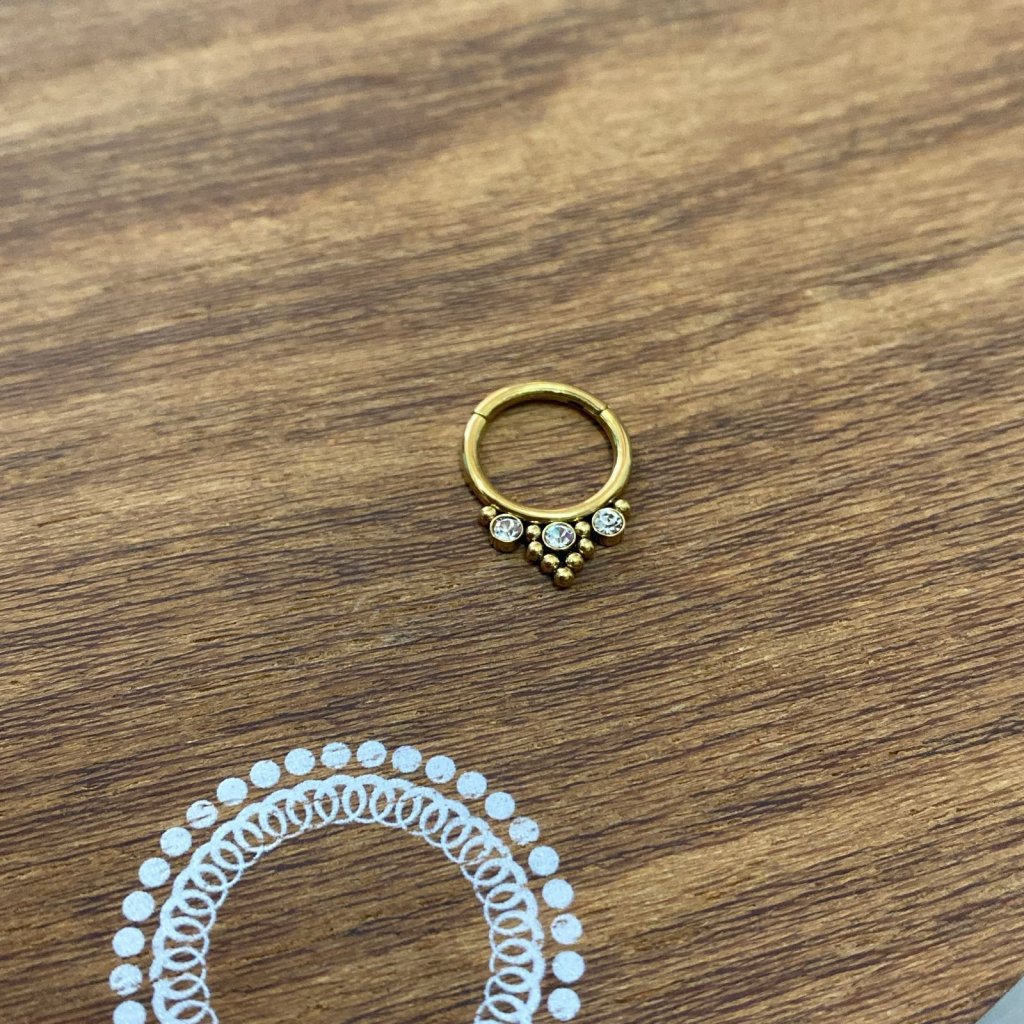 PM0026GO Segmento Aço PVD Gold - Zircônia Cristal