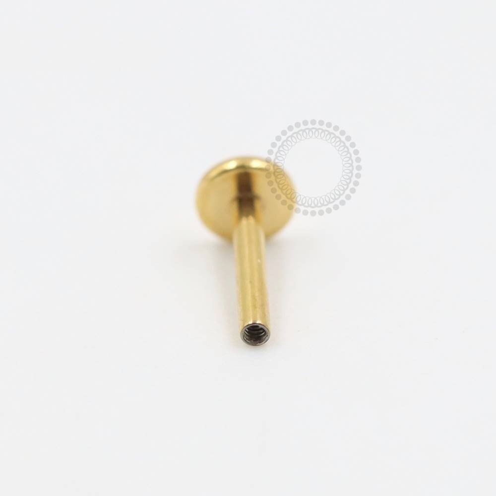 TN280 Haste de Labret Titanio - PVD GOLD 