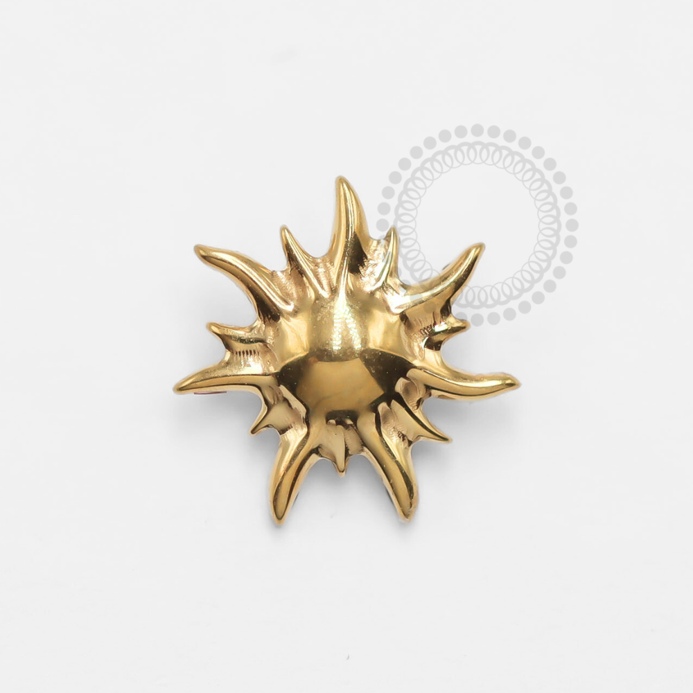 TN1327-2 - TOPO SOL TITÂNIO PVD GOLD