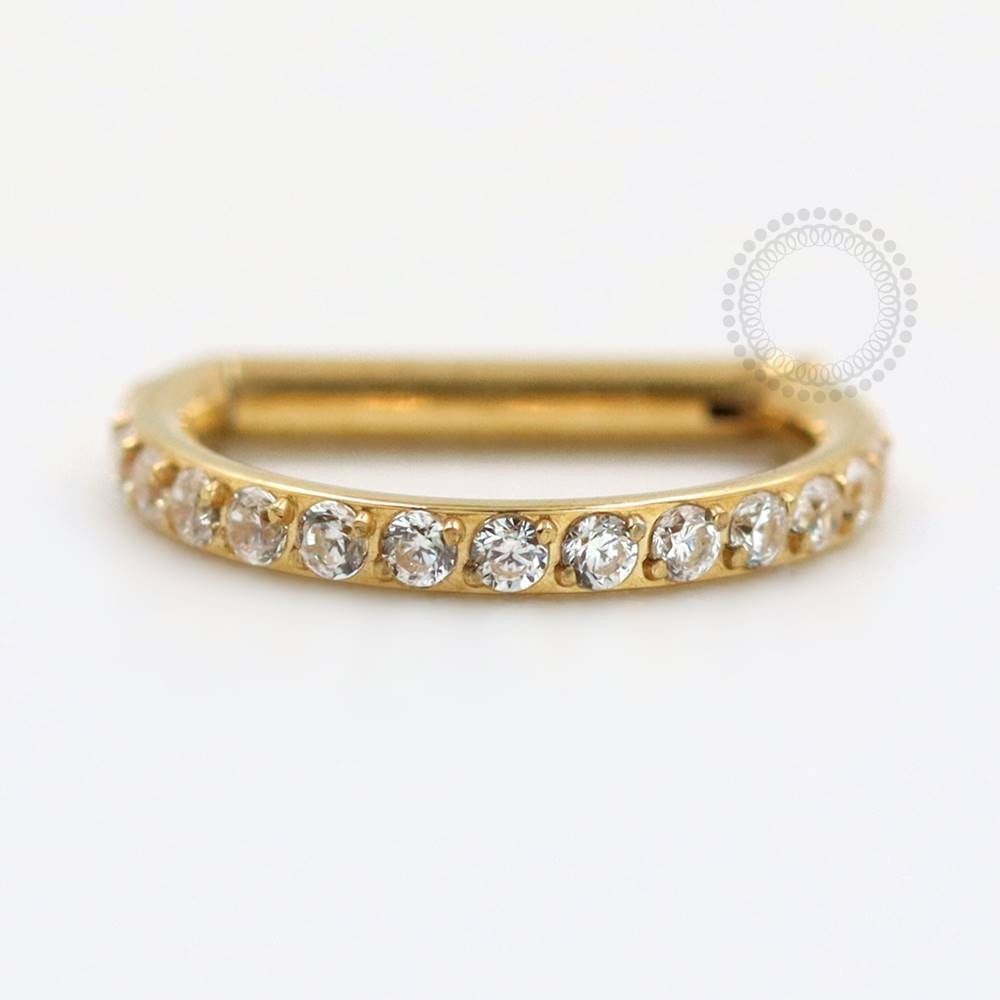 TN74 Segmento D RIng cravejado - Titânio PVD Gold