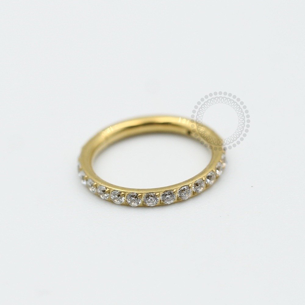 PVD32 Segmento articulado cravejado Aço PVD Gold 