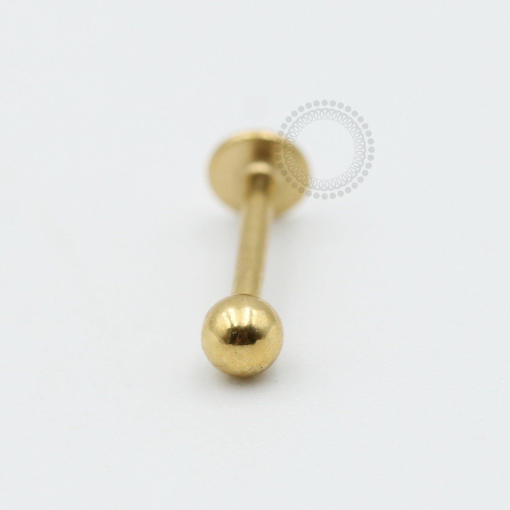 PVD14 Labret Aço Gold