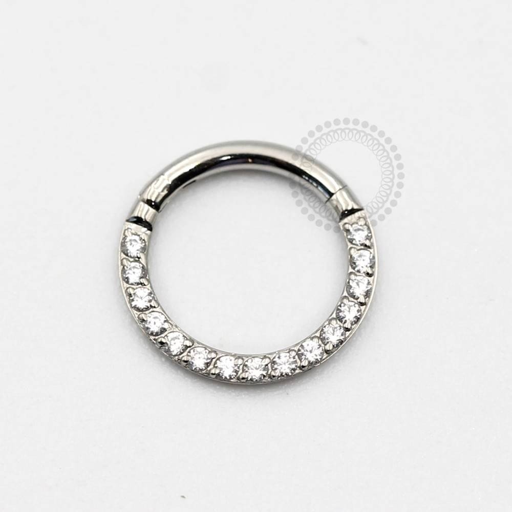 TN194 Segmento Frontal Cravejado Titanio 