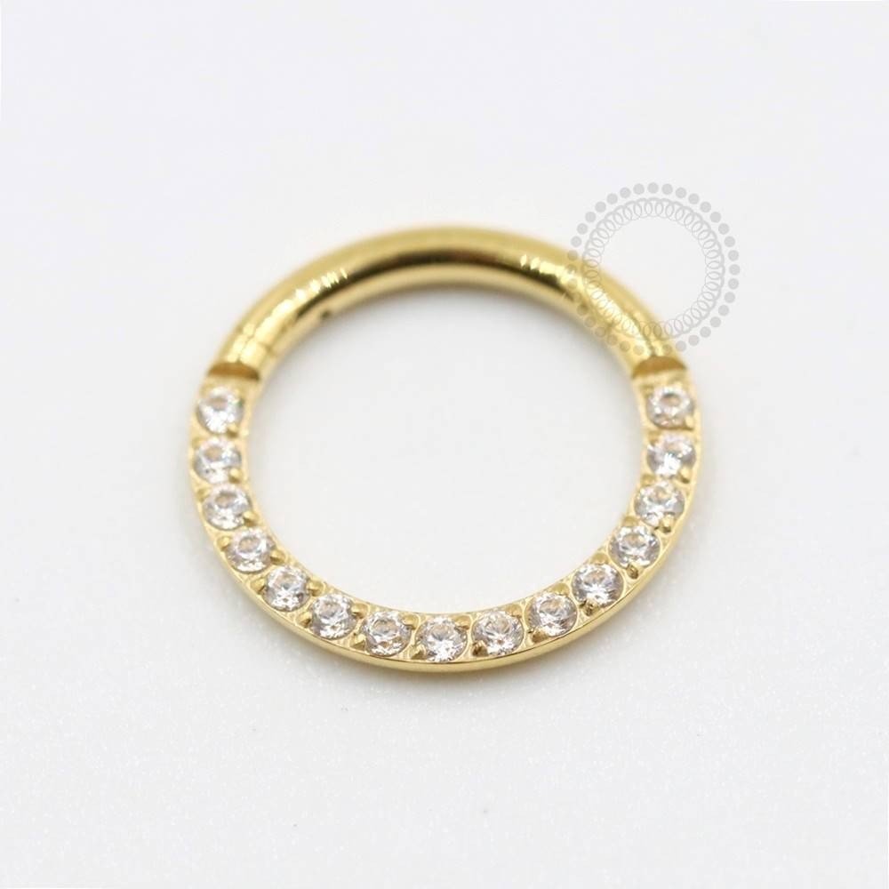 TN301 Segmento Frontal Cravejado Gold 