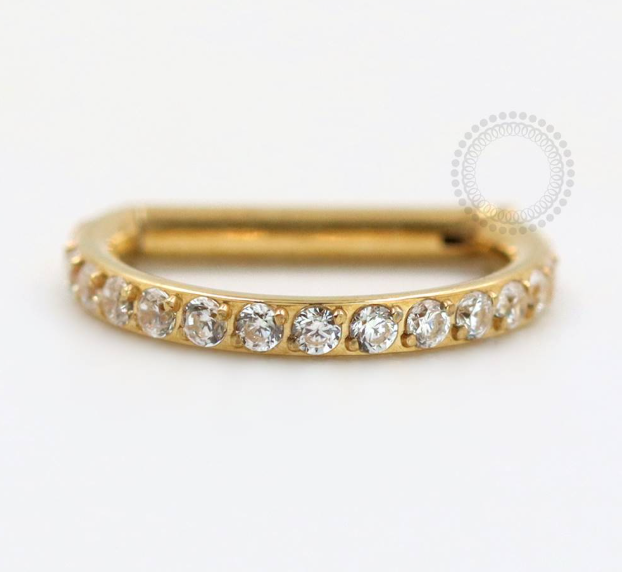 TN74 Segmento D-Ring Cravejado CZ Haste Reta 