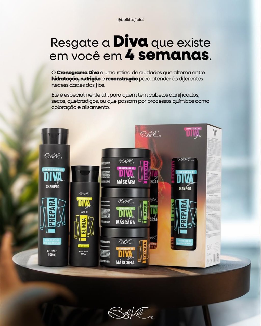 Kit cronograma diva 