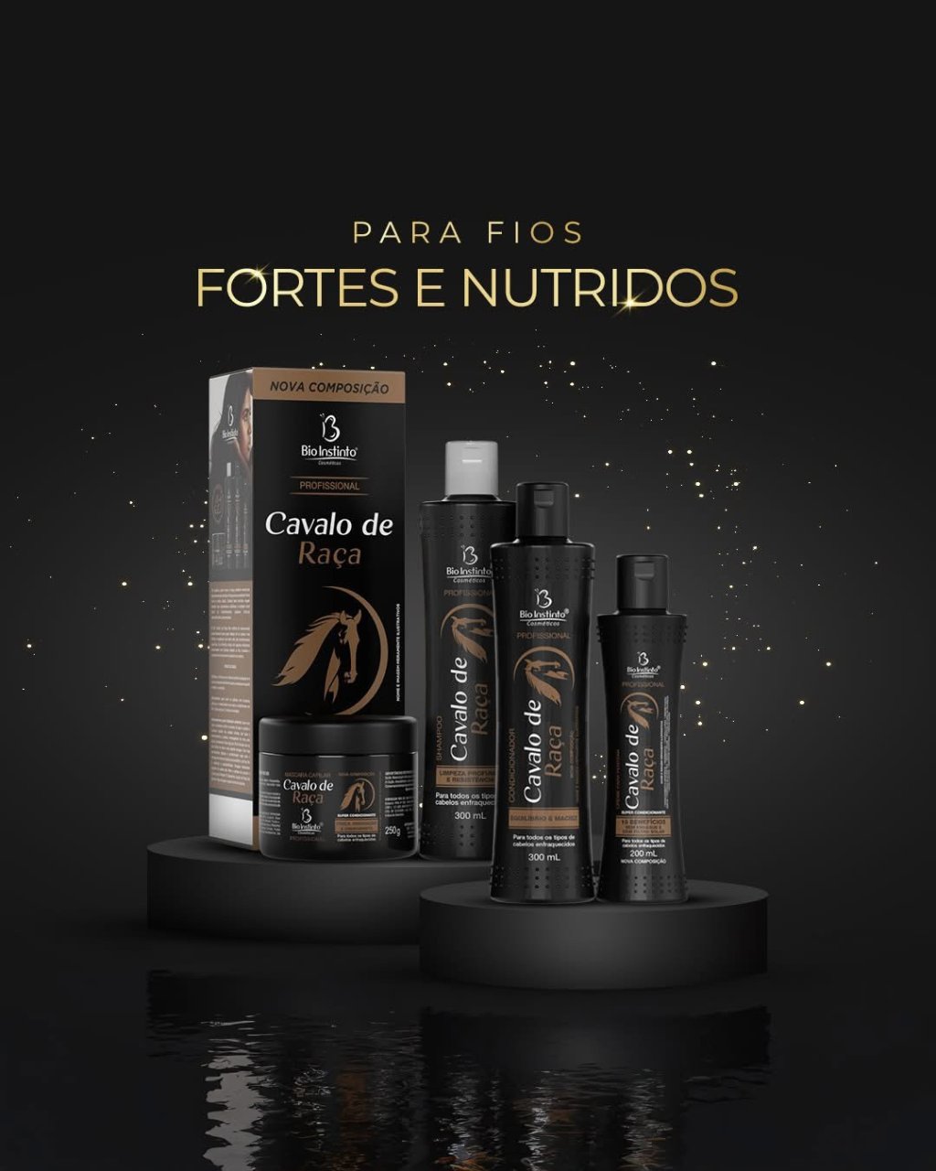 Kit cavalo de raça 