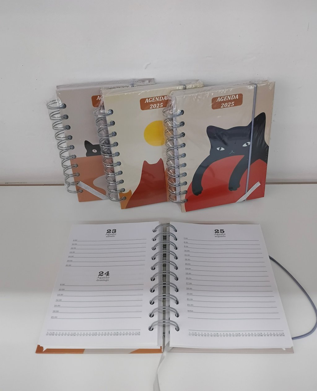 Agenda 2025 5853 15x11cm 168fls