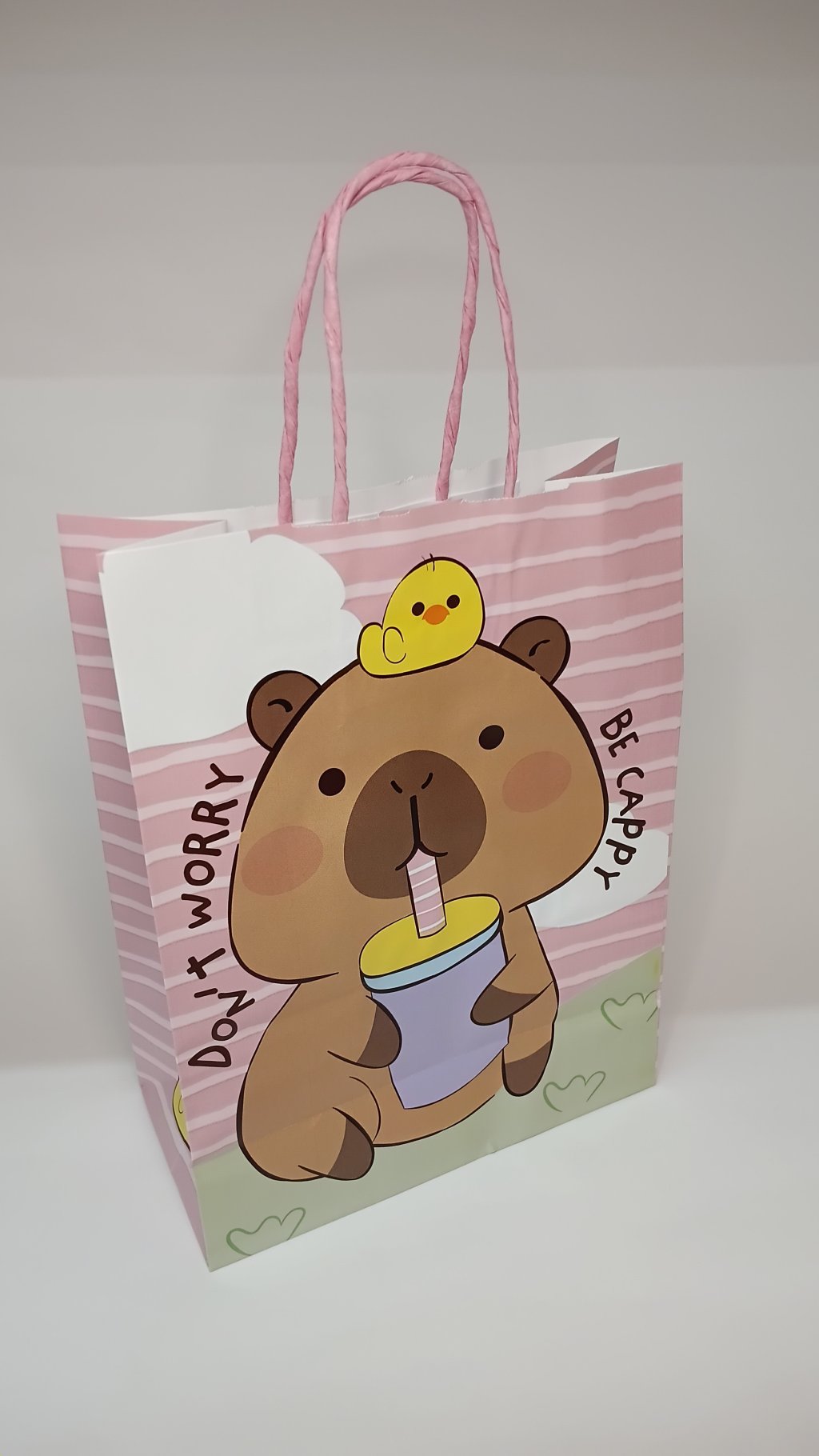 Sacola Presente 14002264 26x19x9cm