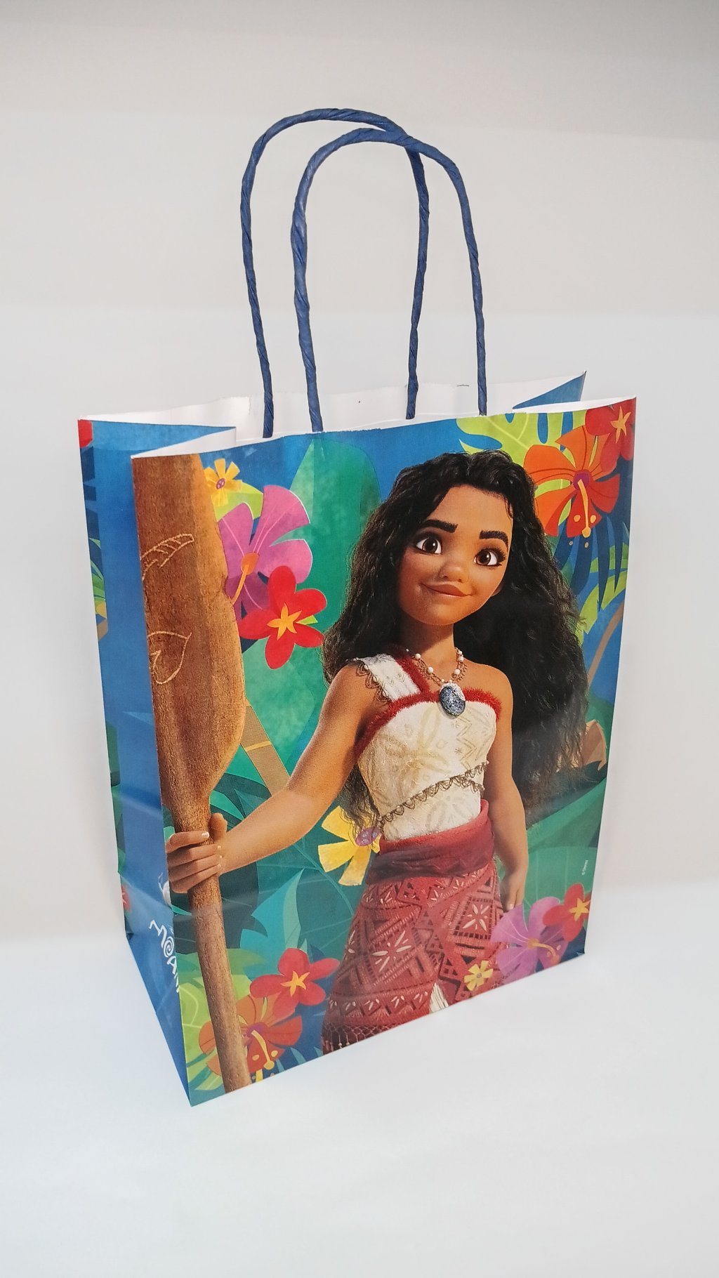 Sacola Presente 14002086 26x19x9cm