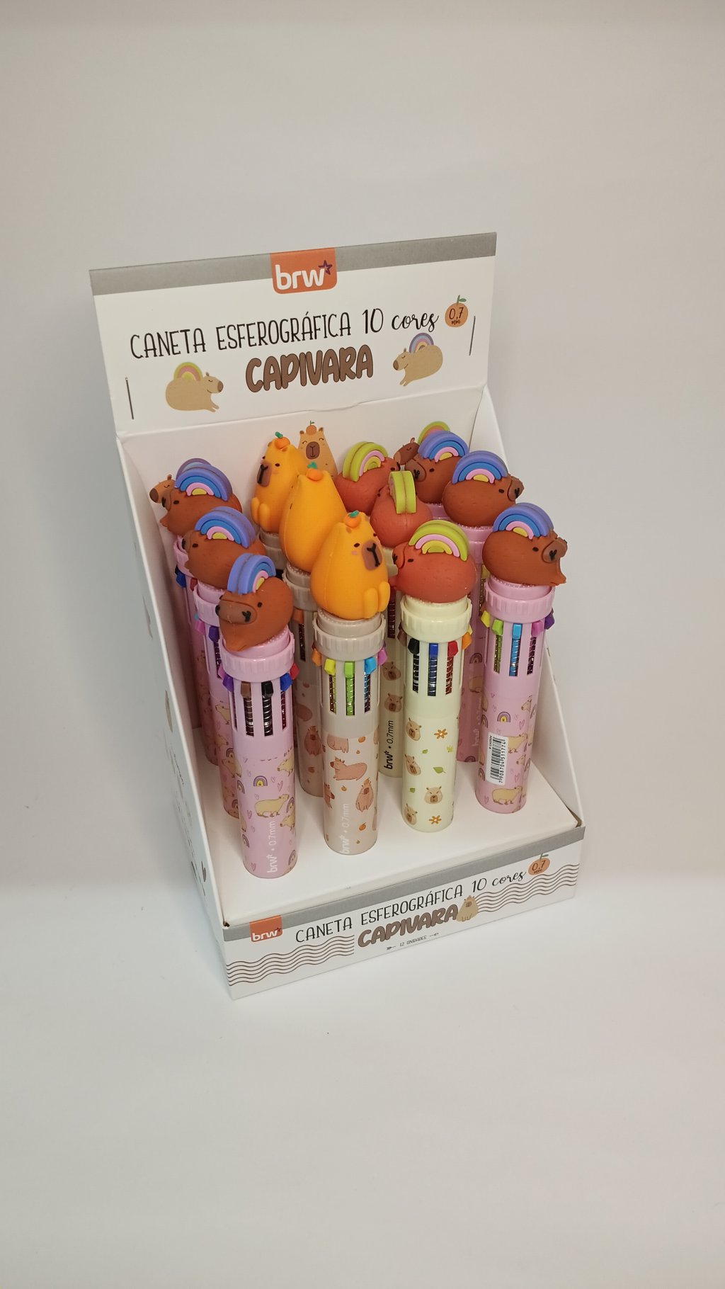 Caneta c/10 Cores CA0504