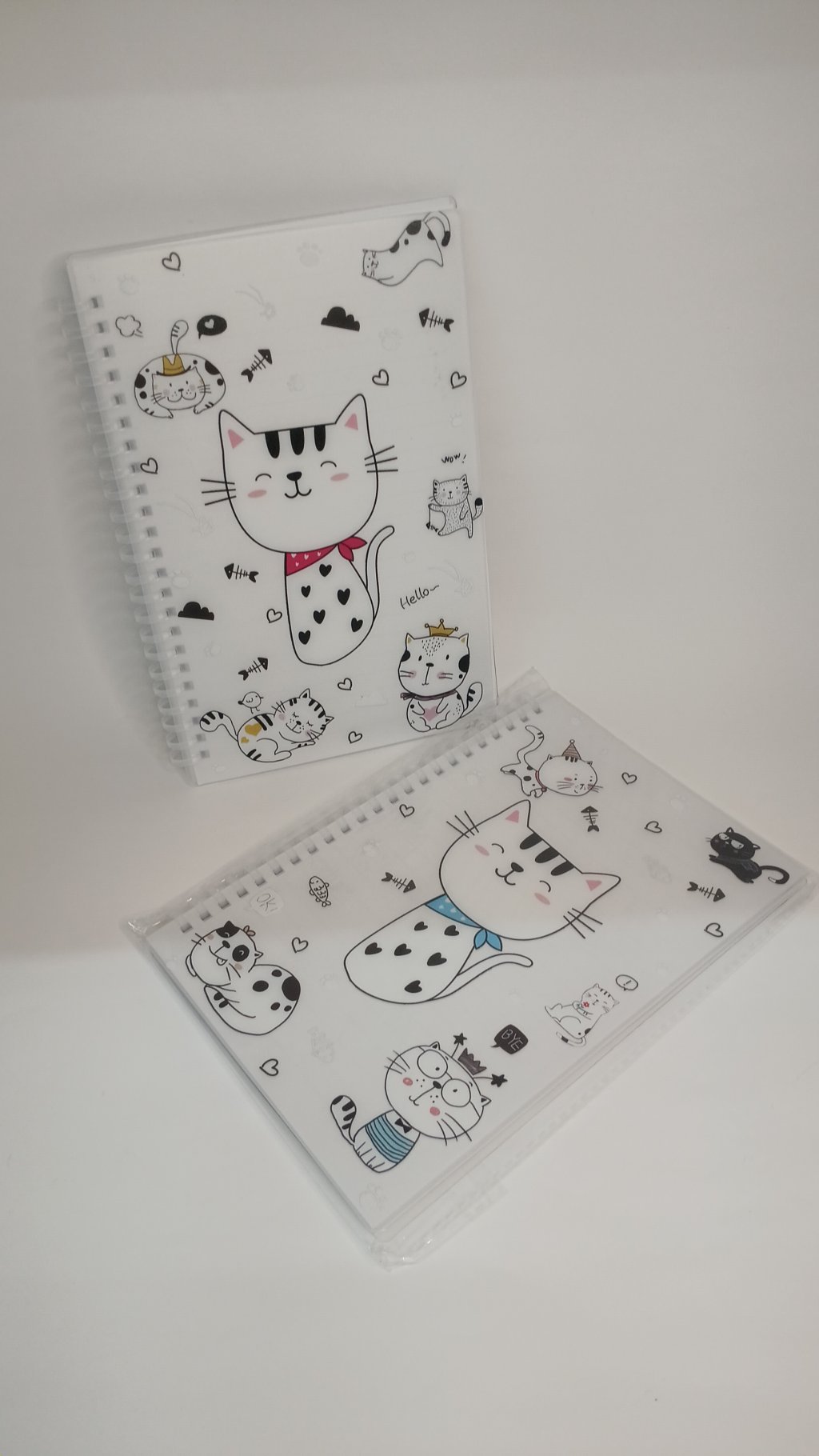 Caderno Decorado Pautado HA84510