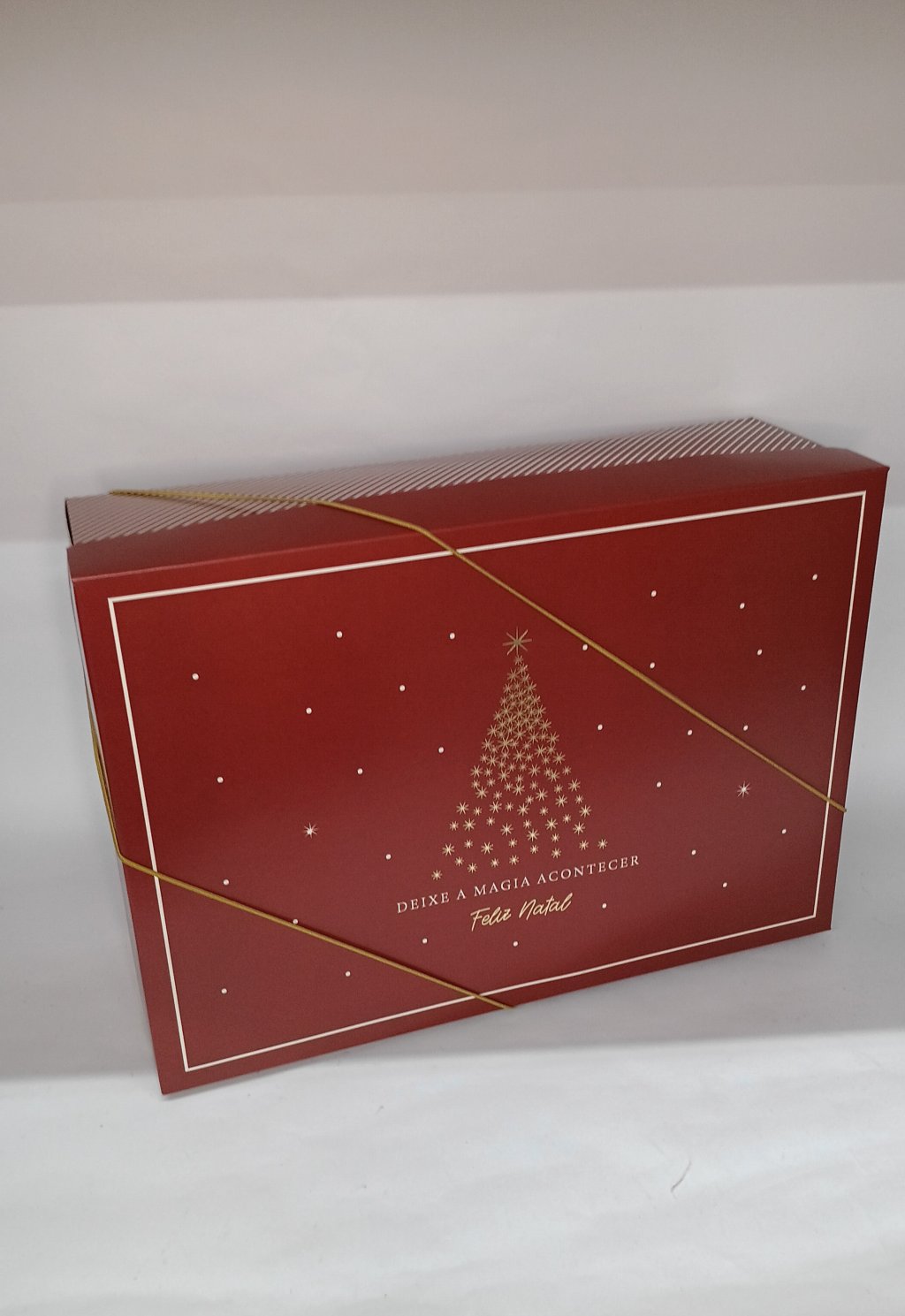 Caixa Presente c/Elástico 13006836 34x25x10cm