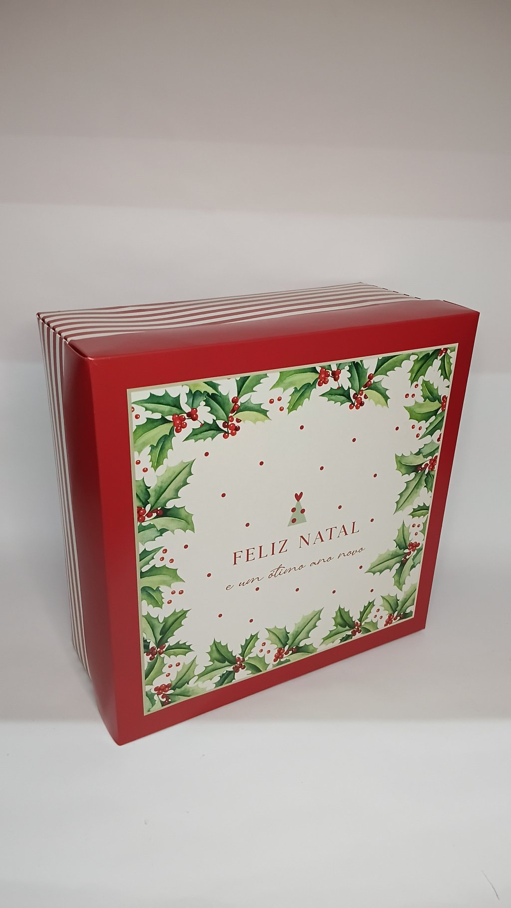 Caixa Quadrada 13006821 26x26x11cm