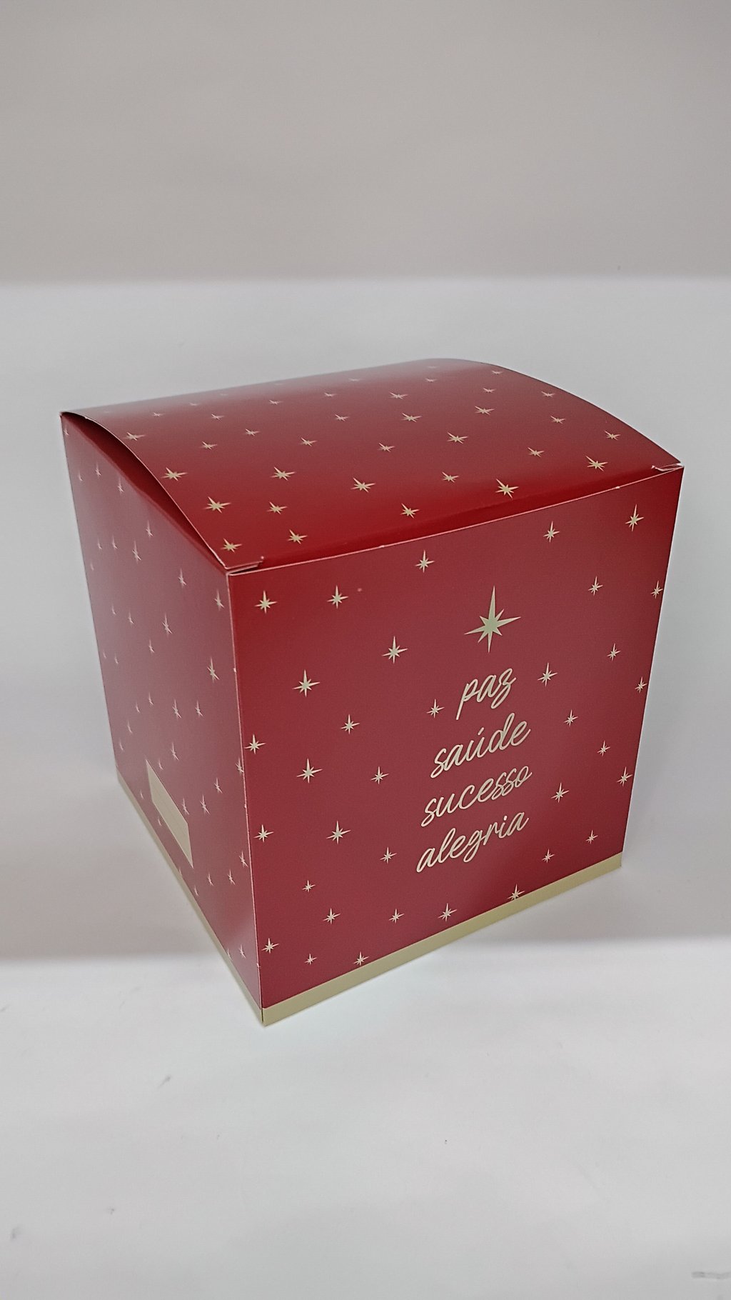 Caixa p/Panetone 500g 13006964 15x15x14cm