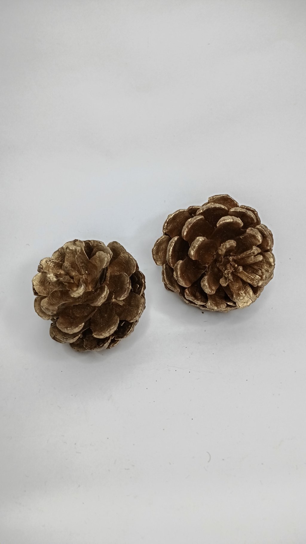 Enfeite Pinhas c/2 WF1669 5cm 